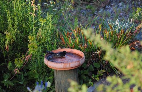 Bridgetown Cabin | Tweed Valley Lodge