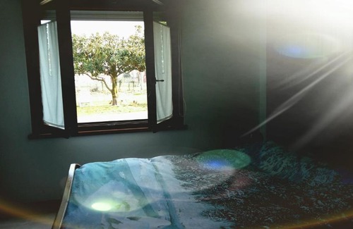 Cormons House | Twins Farm