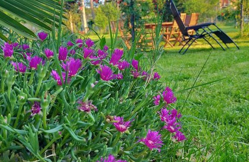 Cormons House | Twins Farm