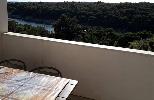 Suha Punta Apartment | Two bedroom apartment with terrace and sea view Suha Punta, Rab (A-5050-d)