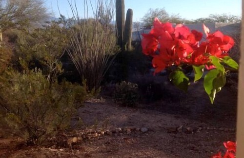 Starr Pass Condo | Two Bedroom Casita in Tucson Starr Pass Resort -available Feb 1 to Mar 10, 2026