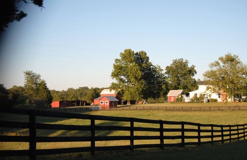 Ridge Cottage | Two Bedroom One Bath Cottage On 250 Acre Cattle Farm.