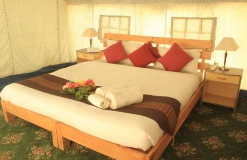 Leh Hotel | Tyakshi Hidden Paradise Camp