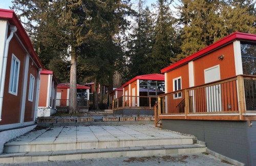 Powell River Apartment | U9 Seaside Serenity: Seal Bay Glamping Retreat