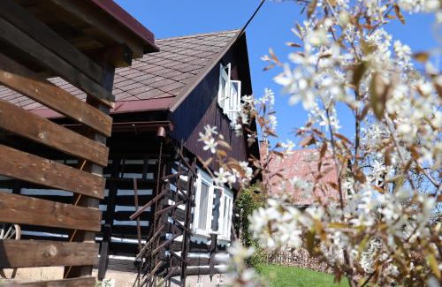 Koberovy Ski Chalet | Ubytování Roubenka