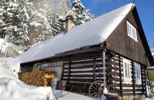 Koberovy Ski Chalet | Ubytování Roubenka