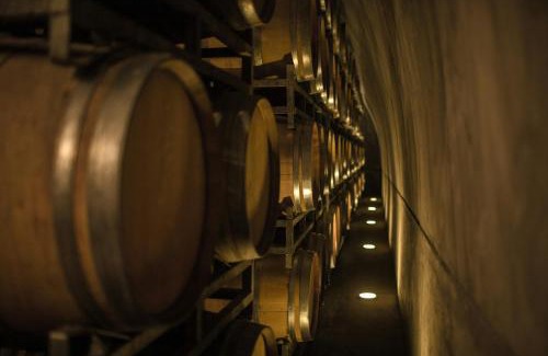 Tupungato Apartment | UCO APARTS, tu refugio en el corazón de los Andes