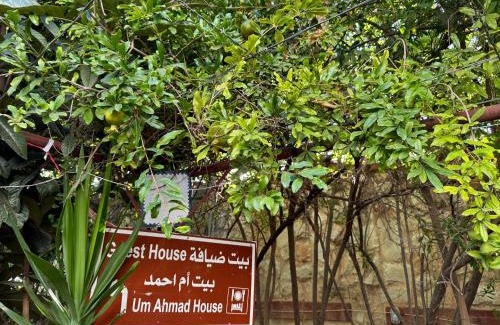 Ajloun Governorate Apartment | Um Ahmad House