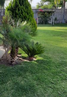 La Rioja Apartment | Umbrella 1