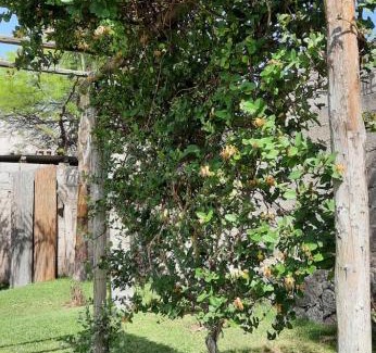 La Rioja Apartment | Umbrella 2