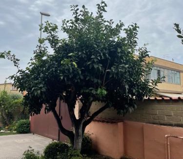 Zona XXXII Acilia Nord House | Un sogno nel verde