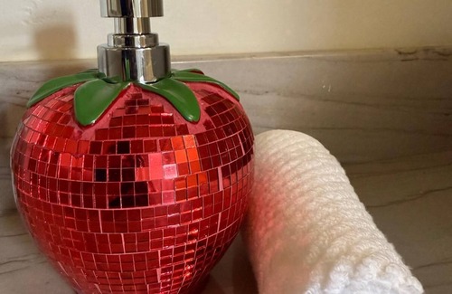 Downtown Tucson Hotel | Unicorn Zebra