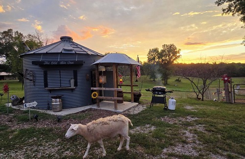 Randolph County House | Unique Farm Stay and Petting Zoo!