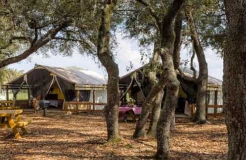 River Ranch Resort | Unique, River Ranch & Rodeo, Fl 2 Cabins Nov 1-8. Enjoy Exhilarating Activities
