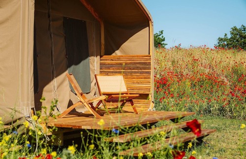 Ouddorp RV Rental | Unique Wikkelhouse camping tent