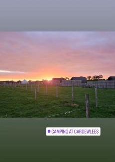 Carlisle House | Unit 1 - Dolly Daydream Bell Tent