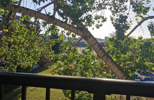 Varsity Apartment | UNIVERSITY DISTRICT