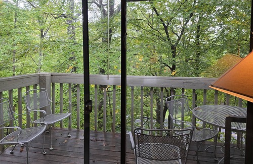 Nellysford Condo | Updated! Cozy and clean two bedroom condo.