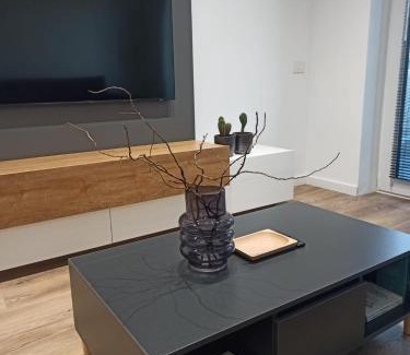 Oradea Apartment | Urban Arena Apartment
