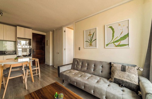 Downtown Santiago Apartment | Urban Refuge San Isidro Ideal for Families