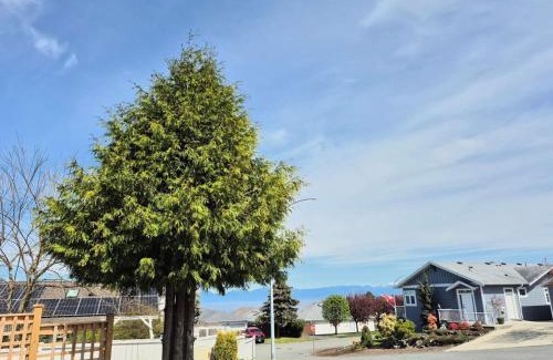 Regional District of Nanaimo House | Urban Retreat