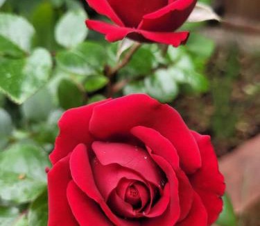 Regional District of Nanaimo House | Urban Retreat