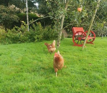 Newry House | Urkers' Guest Accommodation