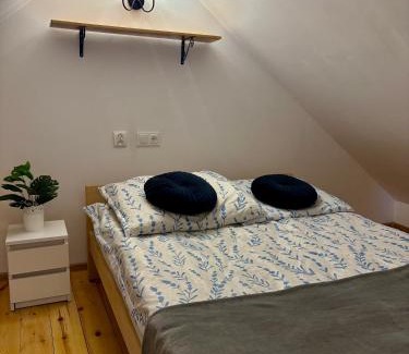 Jacnia Resort | Urocze Roztocze Jacnia - domek 2