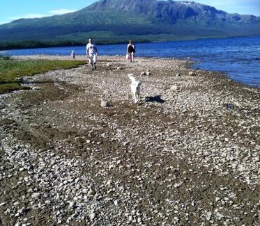Valadalen Other | Vålågårdens Värdshus och Camping AB