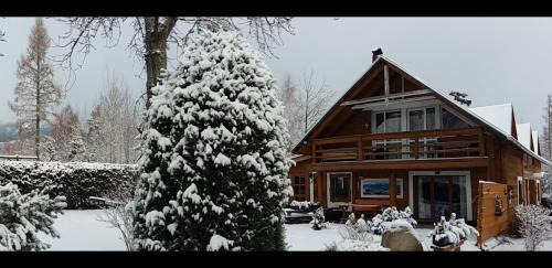 Velky Slavkov House | V ihličí