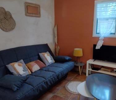 Saint-Laurent-d'Aigouze Apartment | Vacances en Camargue proche de la mer climatisé
