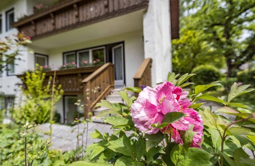 Bad Reichenhall Apartment | Vacation apartment 26 sqm for 1 person with mountain view on the mezzanine floor