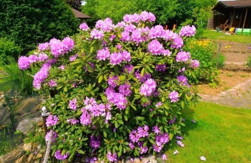 Weilburg Apartment | Vacation apartment/apartment for 4 guests with 95m² in Weilburg (118998)