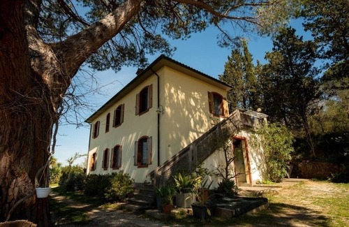 Suvereto Apartment | Vacation apartment/apartment for 4 guests with 32m² in Suvereto (165473)