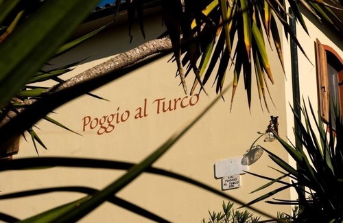 Suvereto Apartment | Vacation apartment/apartment for 4 guests with 32m² in Suvereto (165473)