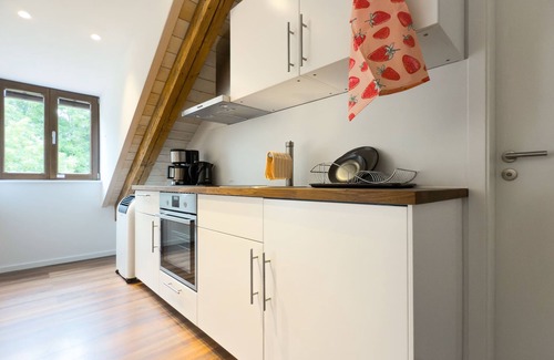 City Centre Regensburg Apartment | Vacation apartment with balcony