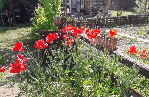 Laage House | Vacation home ALTE SCHEUNE up to 5 persons/3 bedrooms in a quiet location