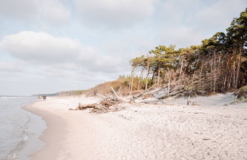 Ostseebad Ahrenshoop House | Vacation home for 6 guests with 140m² in Ahrenshoop (164705)