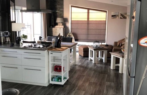 Renesse Ski Chalet | Vacation home with TOP equipment, only 8 minutes walk to the beach, dogs allowed