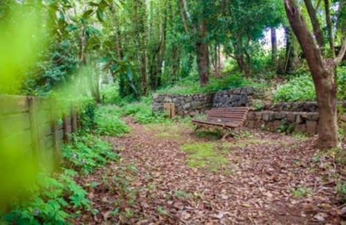 El Rosario House | Vacation Rental 'Casa Rural La Ceiba' with Mountain View, Pool & Wi-Fi