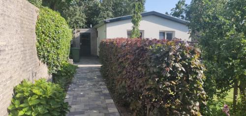 De Cocksdorp House | Vakantiebungalow Texel