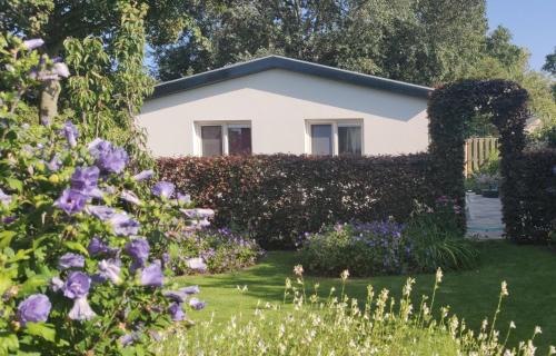 De Cocksdorp House | Vakantiebungalow Texel