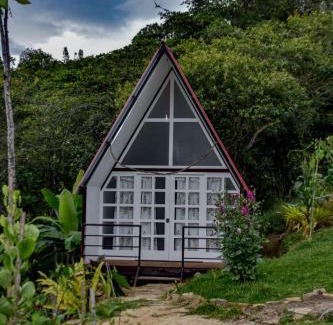 Cuispes Other | Valle Yumbilla Yacu