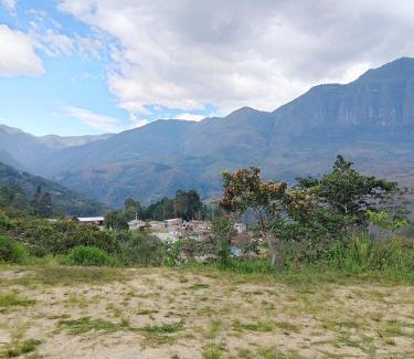 Cuispes Other | Valle Yumbilla Yacu