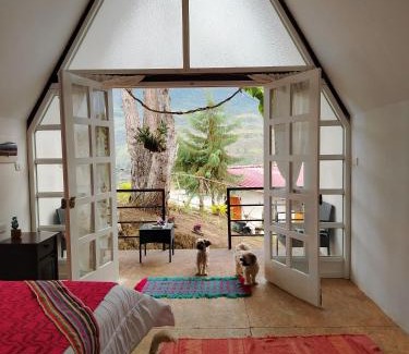 Cuispes Other | Valle Yumbilla Yacu