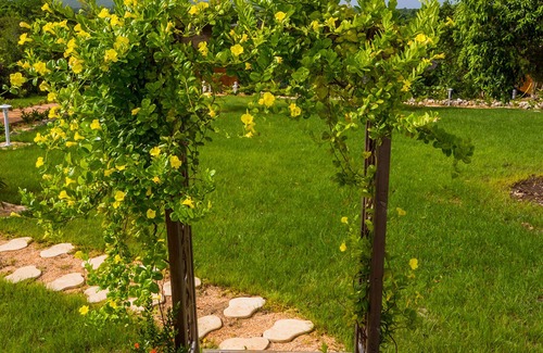 Anse-Bertrand Cottage | Vanilla bungalow, swimming pool, 3Km from the beach