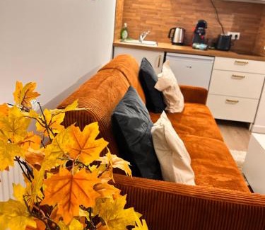 Aubervilliers Apartment | Vases d'honneur HOME proche de Paris et du stade de France