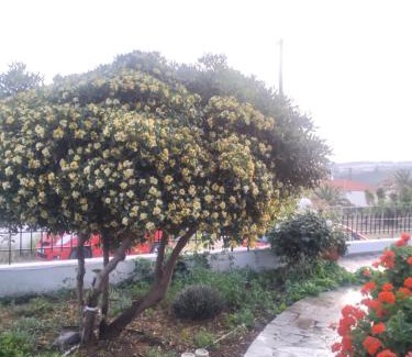 Tavari Apartment | Vasila seaview