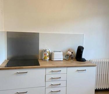 Prefecture Apartment | Vaste Appartement Rénové - Centre Ville