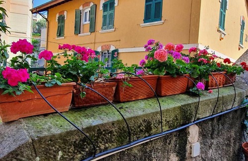 Camogli Apartment | Vasto apt panoramico 3 min mare